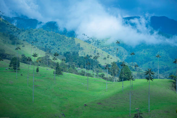 istock Beautiful view of a landscape with fields and mountains 1463011912
