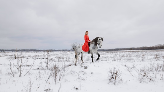 Pretty woman jockey in a red dress rides a horse in a snow winter fields