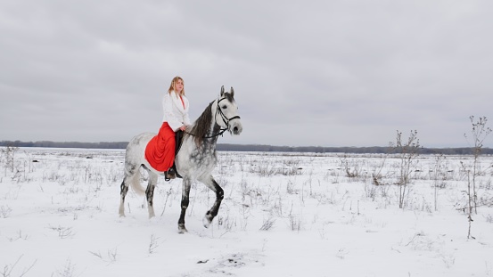 Pretty woman jockey in a red dress rides a horse in a winter fields