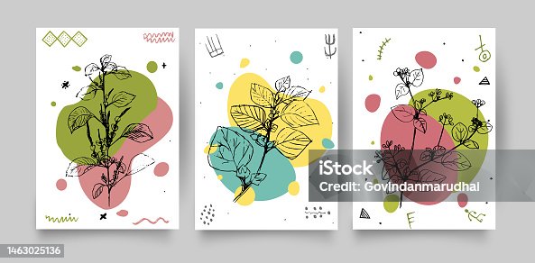 istock Botanical wall art vector set. Hand draw template leaves and line art background for paper, Foliage line art drawing with abstract shape. Abstract Plant Art design for print, cover, wallpaper, Minimal and natural wall art. 1463025136