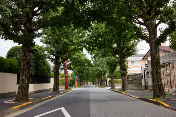 istock Residential district in Tokyo, Japan 1463026085