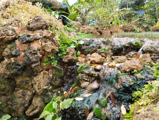 istock shady waterfall  middle of nature 1463041196