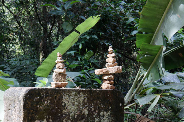 istock stacking stones in a forest in Brazil 1463048060