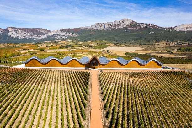 istock The winery and rows of vineyards 1463049118