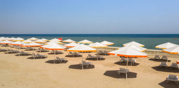 istock Beach view from a drone. wonderful summer landscape, clean sand and blue water. 1463054092