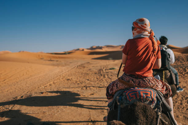istock Camel caravan going through the Sahara desert in Morocco at sunset 1463054733