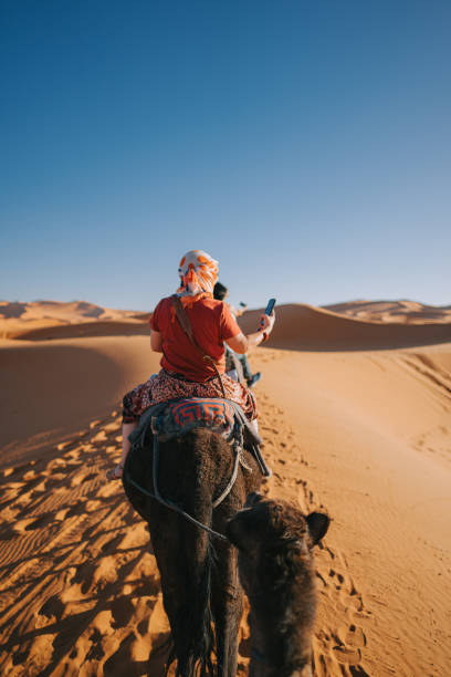 turisti cinesi asiatici che cavalcano il treno di cammelli del dromedario che attraversano il deserto del sahara in marocco guidati dal pastore della guida turistica durante il tramonto - morocco desert camel africa foto e immagini stock