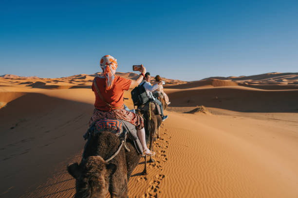 turistas chinos asiáticos en dromedario en tren camello cruzando el desierto del sahara marruecos dirigido por un pastor guía turístico durante el atardecer - journey camel travel desert fotografías e imágenes de stock