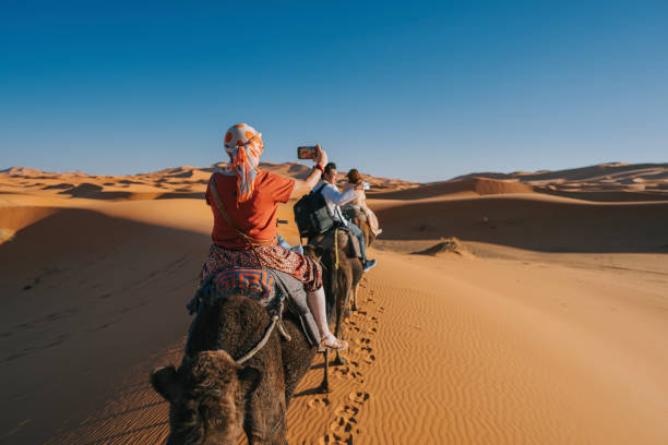 азиатские китайские туристы верхом на верблюжьем поезде, пересекающем пустыню сахара марокко во главе с гидом пастухом во время заката - morocco desert camel africa стоковые фото и изображения