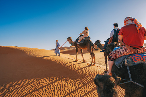 asian Chinese tourists riding dromedary camel train crossing Sahara Desert Morocco led by tour guide herdsman during sunset