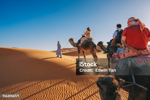 istock asian Chinese tourists riding dromedary camel train crossing Sahara Desert Morocco led by tour guide herdsman during sunset 1463056171