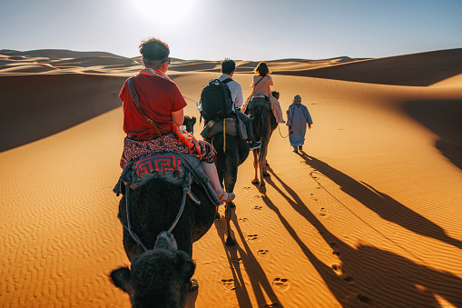 asian Chinese tourists riding on dromedary camel train crossing Sahara Desert Morocco led by tour guide herdsman during sunset