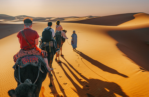 asian Chinese tourists riding on dromedary camel train crossing Sahara Desert Morocco led by tour guide herdsman during sunset