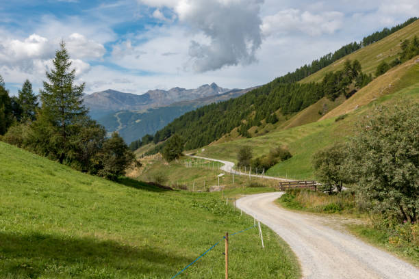 istock Mountain trail South Tyrol Italy 1463056815