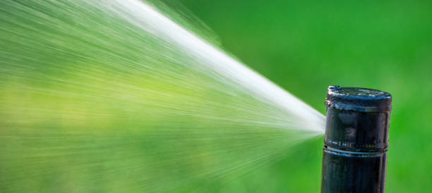 istock automatic sprinkler system watering the lawn close up 1463063335
