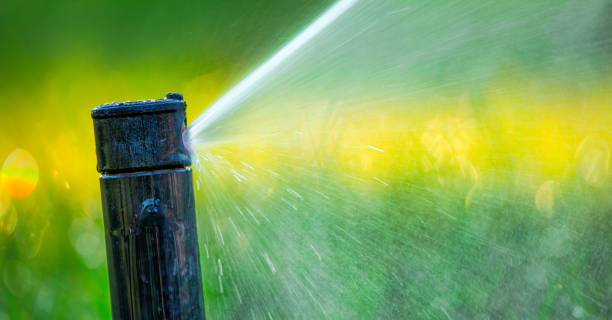automatic sprinkler system watering the lawn close up