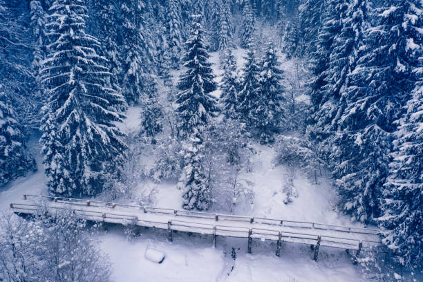 carretera de montaña nevada y bosque, vista con drones. - road winding road mountain spiral staircase fotografías e imágenes de stock