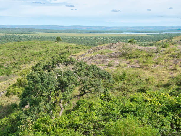 istock A beautiful view over Lake Mburo National Park 1463068891