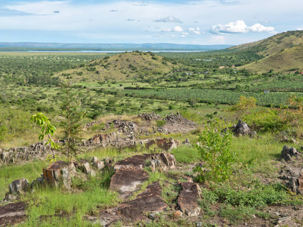 A beautiful view over Lake Mburo National Park