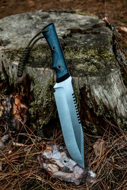 istock Steel knife in the woods 1463070805
