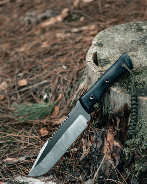 istock Steel knife in the woods 1463070908