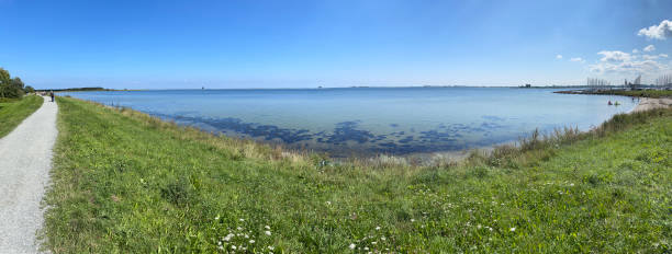 istock Maasdam, Baltic Sea, harbour 1463075590