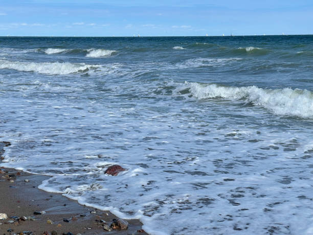 istock Baltic Sea beach, Schoenhagen 1463075939