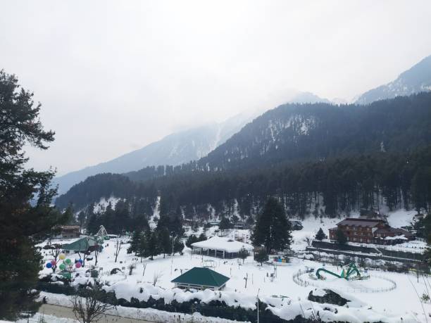istock Snow forests of Kashmir. 1463075982