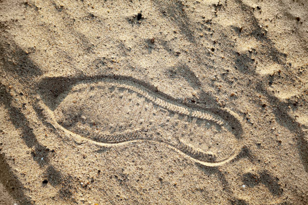 huella de zapato individual en la arena de una playa dejada por una persona - sand footprint track following fotografías e imágenes de stock