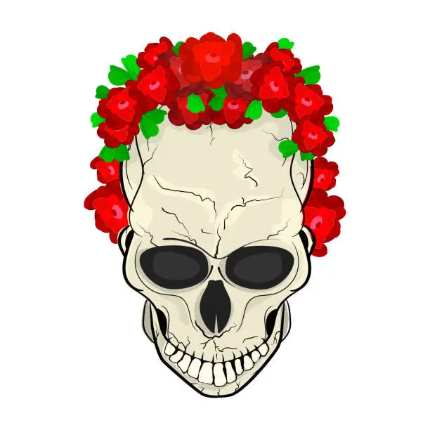 Vector illustration of Mexican sugar skull isolated on white background. Skull with head wreath of roses.