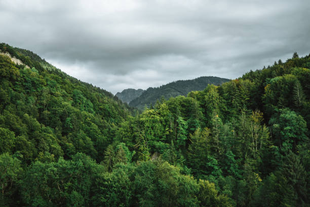 istock Majestic mountains in the Alps 1463088891