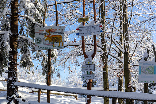 11.01.2023, Hala Slowianka, Poland. Trail markings and directional signposts covered with fresh snow in winter on Hala Slowianka, Beskid Zywiecki mountains.