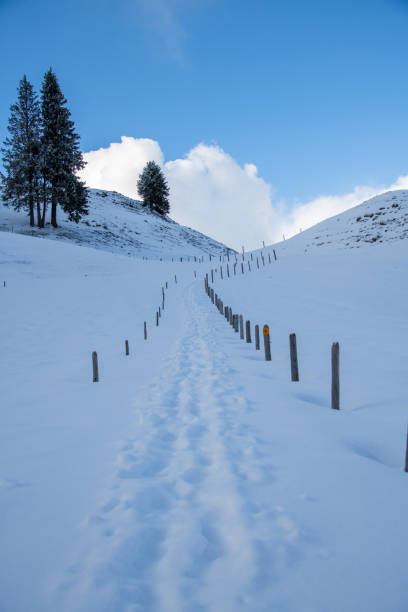 A hiking trail in the winter on a mountain