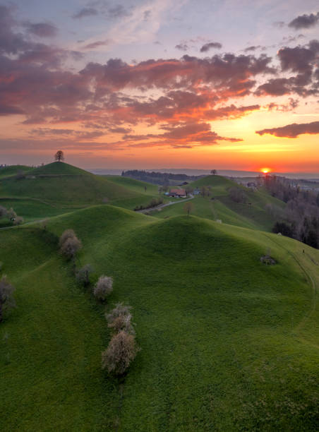 istock Hill landscape in switzerland during sunset, on each hill there is a tree 1463095588