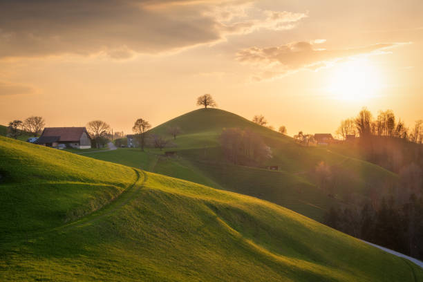A farm in a hilly landscape with a tree on it