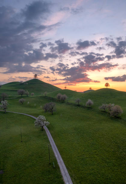 Hill landscape in switzerland during sunset, on each hill there is a tree
