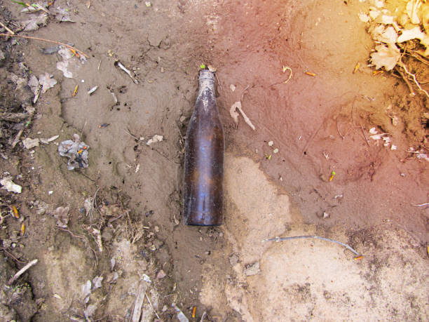 istock A dirty empty beer bottle lies on the ground in a pine forest. Environmental pollution. 1463097570