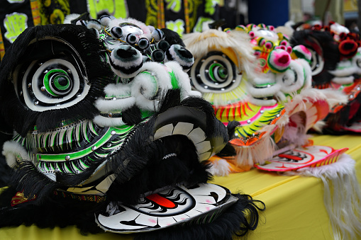 Chinese lions as used in lion dances for ceremonies, traditional Chinese festival culture.