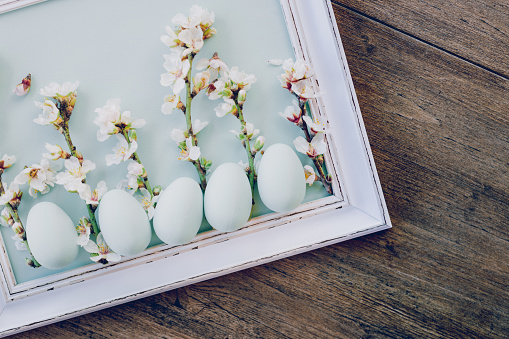 Flat lay of five mint green Easter eggs in a white vintage picture frame with almond blossom branches on rustic wooden background. Color editing with added grain. Very selective focus. Part of a series.