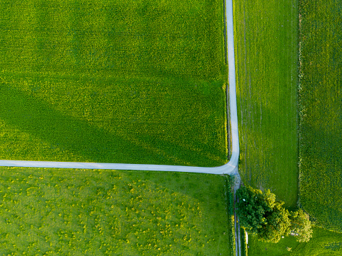 Aerial view of a sharp turn of a country road