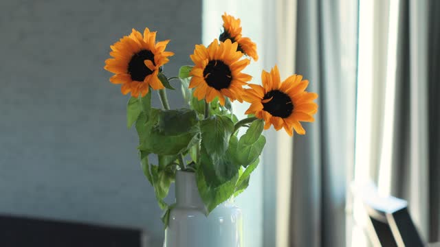 Woman's hand placing sunflowers in a flower pot