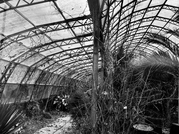 Arrangement of demolished rusty steam pipes in black and white.