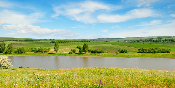 Picturesque summer landscape. Meadow, lake, agricultural fields and blue sky. Wide photo.