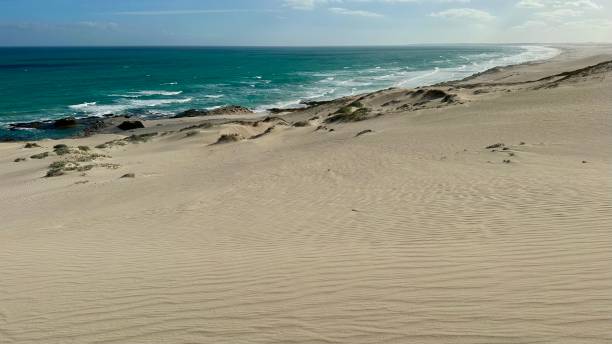 南アフリカのデフープ自然保護区の巨大な砂丘 - cape town south africa sand dune beach ストックフォトと画像