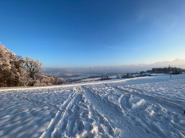 istock Snowy hill in beautiful weather 1463113580