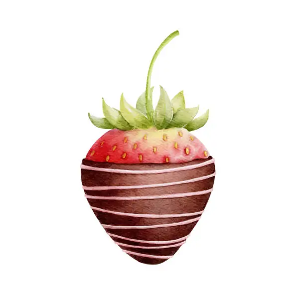 Vector illustration of Watercolor dark chocolate dipped strawberry. Valentines day concept