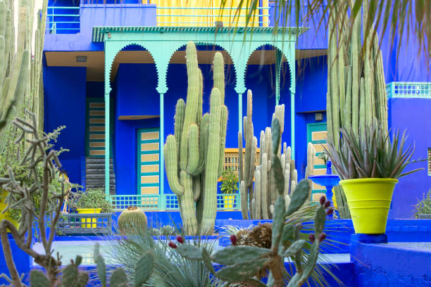 Le Jardin Majorelle, Marrakech, Morocco, Amazing tropical garden in Marrakech, Morocco stock photo