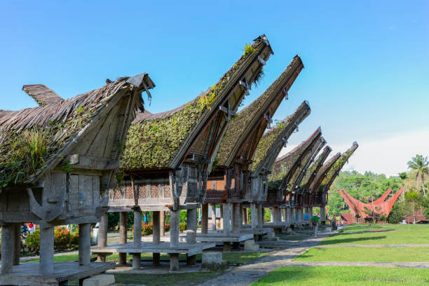 Tongkonan is a traditional house of the Toraja tribe which is usually used as a rice barn and a place to live. Noise and grainy images. stock photo