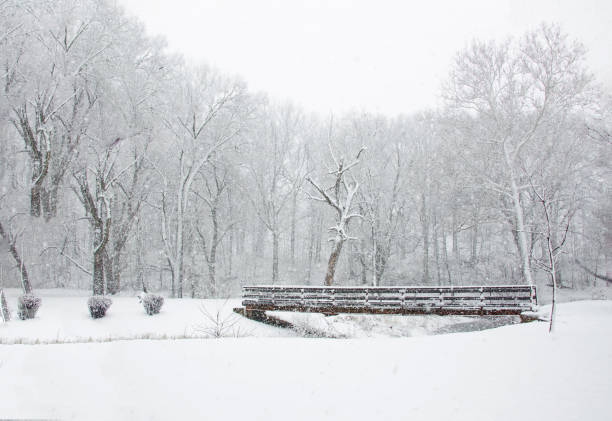 istock Walking bridge over a small stream in a snow storm-Howard County, Indiana 1463115922