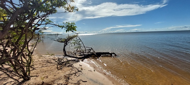 Alter do Chão-Santarém-Amazônia-Pará-Brazil